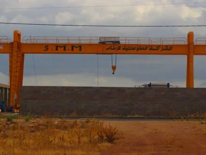 Double Girder Gantry Crane Technical Specifications